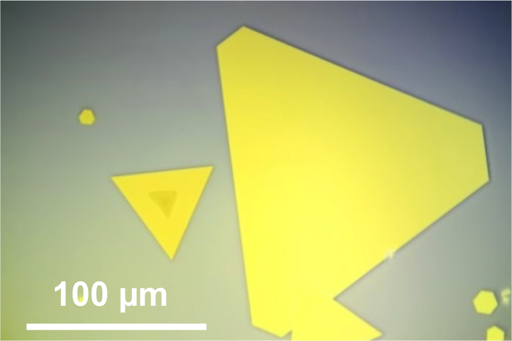 Hecht group homepage